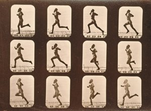 アスリートの画像シーケンス。ランニング、「動物の運動」シリーズ、1881年 作： Eadweard Muybridge